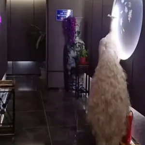 谦和足道养生SPA title=