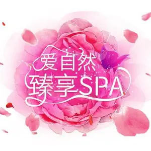 花锦瑟SPA养生馆的logo