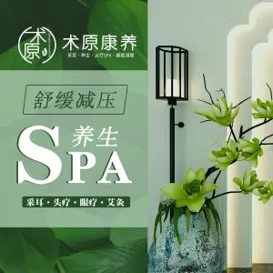 术原采耳·养生SPA（银泰城店）