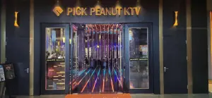 皮卡花生KTV（诸暨店）的logo