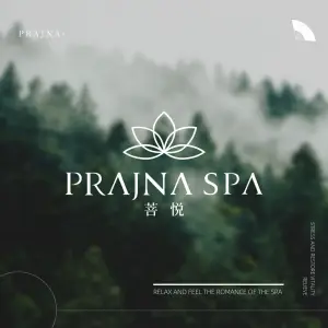 菩悦SPA