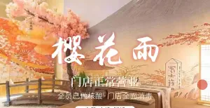 樱花雨•主题SPA title=