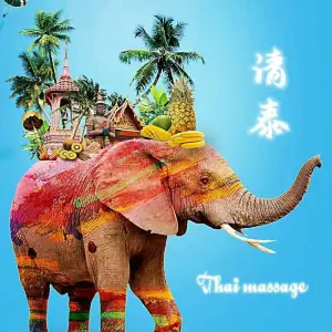 Thai清泰·高空泰式·SPA（希尔顿店）的logo