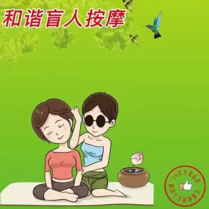 无锡和谐盲人推拿有限公司（百脑汇店）的logo