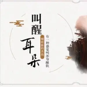 韦氏采耳体验馆（鼎盛店）的logo