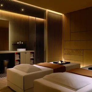 星怡足疗SPA的logo