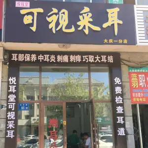 悦耳堂可视采耳 title=